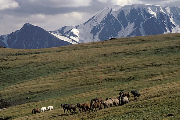 Rundreise Mongolei, 16 Tage