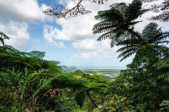 Rundreise Australien mit Kangaroo Island, 28 Tage