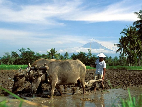 Indonesien mit Kindern