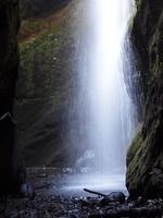 Wasserfall im Lorbeerwald von Los Tilos.