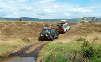 Den Ngorongoro Krater erkunden wir per Jeepsafari.