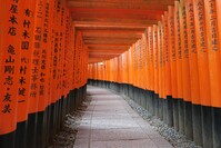 Japan, Kyoto, Fushimi Inari Taisha, Torii, Japanreise, Djoser, japan rundreise 16 tage