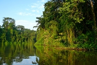 Der Fluss im Tortuguero Nationalpark