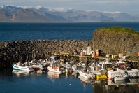 Island, Rundreise, Arnarstapi