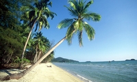Koh Samed Palmen Strand, Thailand