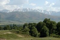 Aksu Djabagly, Naturreservat