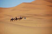Wüste, Sahara, Marokko, Djoser, Erlebnisreisen