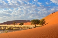 Djoser Rundreise Südliches Afrika Namibia Sossusvlei Deadvlei
