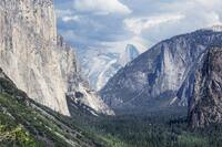 Nationalpark Yosemite, Natur, Tiere