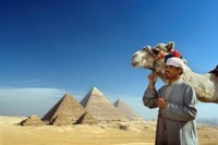 Pyramiden, Kamel, Ägypten