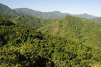 Sierra Maestra NP