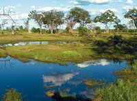 Djoser Familienreise Botswana Rundu Okavangodelta