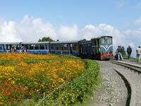 Indien Mettupalayam Ooty Schmalspurbahn