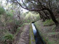 Levada