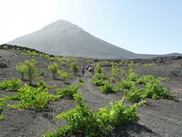 Pico de Fogo