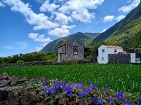 Haus, Blumen, São Jorge, Azoren, Landschaft, Berge