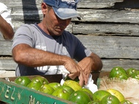 Obstverkäufer auf einem Markt