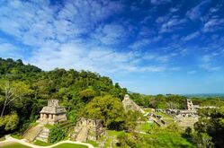 Ausblick auf die Landschaft von Palenque