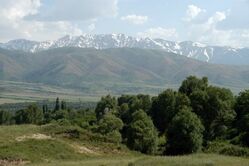 Aksu Djabagly, Naturreservat, kasachstan reise