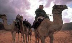Ein Mann auf seinem Kammel mit zwei Weiteren neben ihm in der Wüste von Wadi Rum in Jordanien