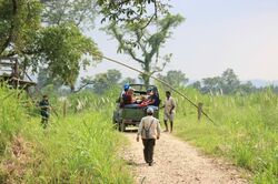 Chitwan Nationalpark, Landschaft, Abeiter, Nepal, Reise Nepal