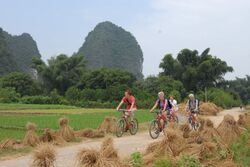 Eine Gruppe von Leuten auf einer Fahrradtour in Yangshuo