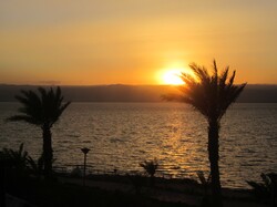Der Sonnenuntergang am Toten Meer mit Palmen im Vordergrund