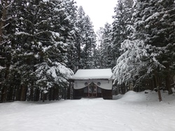 Nagano, Unterkunft, Hütte, Schnee, Landschaft