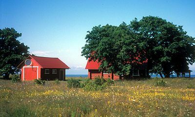 Die Insel Saaremaa Saaremaa, Estland, Landschaft, Rundreise Baltikum, Rundreise Finnland