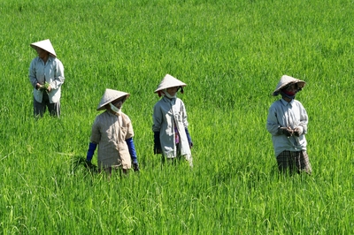 Vietnam & Kambodscha mit Kindern, 15 Tage