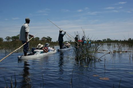 Das Okavangodelta Okavangodelta, botswana mit kindern, botswana urlaub