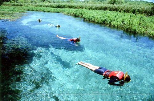 Schnorcheln in Bonito