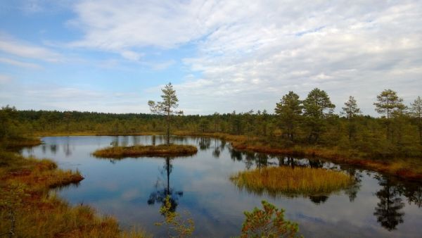Blick auf den Lahemaa Nationalpark in Estland Lahemaa Nationalpark, Estland, Ausblick, Natur, See, baltikum radreise