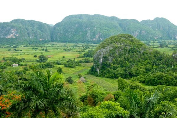 Das Viñales-Tal Viñales, Kuba, Viñales Tal, Landschaf, kuba mit dem fahrrad
