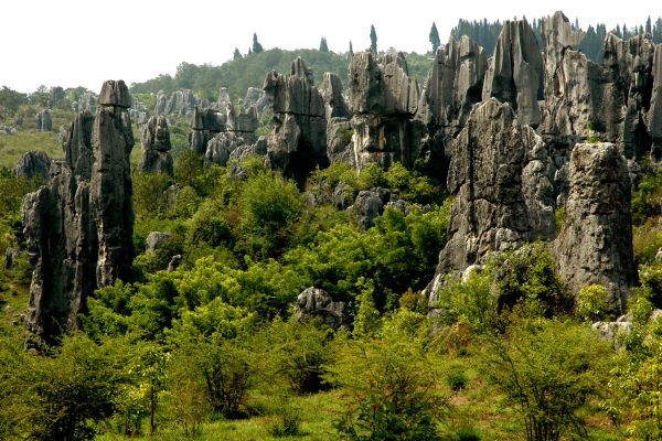 Steinwald Kunming