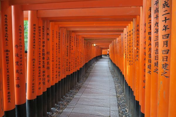 Hölzerne Toriis, Japan, japan rundreise 3 wochen mit kindern