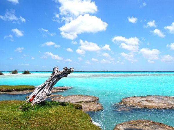 Der siebenfarbige See von Bacalar wird euch sicherlcih beeindrucken! Bacalar Lagune