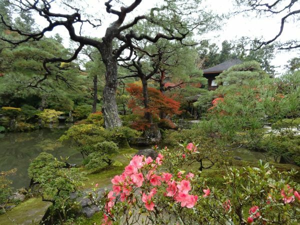 Japanischer Garten Garten, Natur, See, japan rundreise