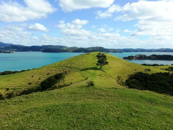 Nordinsel, Landschaft, Neuseeland, Neuseeland Urlaub
