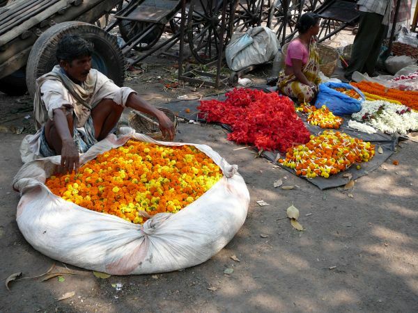 Blumen Markt Drei junge Männer, die Blumen auf der Straße verkaufen, Sikkim Bhutan Rundreise