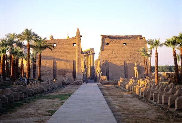 Luxor Der Weg zu einem Tempel in Luxor, welcher mit Palmen am Rand geschmückt ist