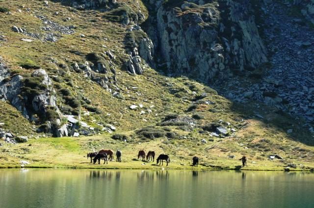 Vall de Riu, Aussicht, See, Landschaft, Berge, Wanderreise