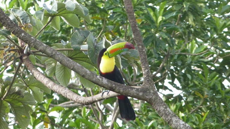 rundreise costa rica 2 wochen