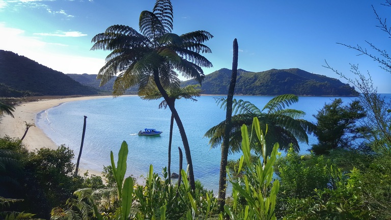 Strand, Palmen, Meer, neuseeland schönste orte