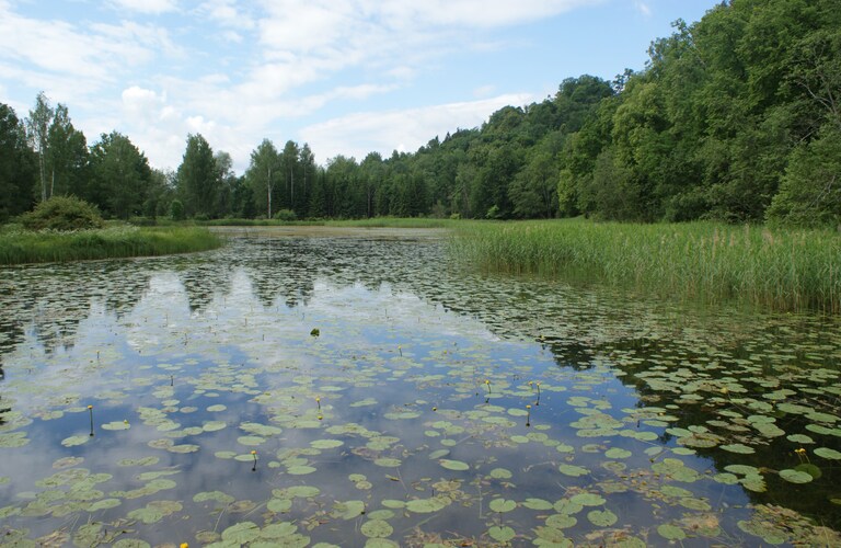 Gauja Nationalpark Lettland Baltikum