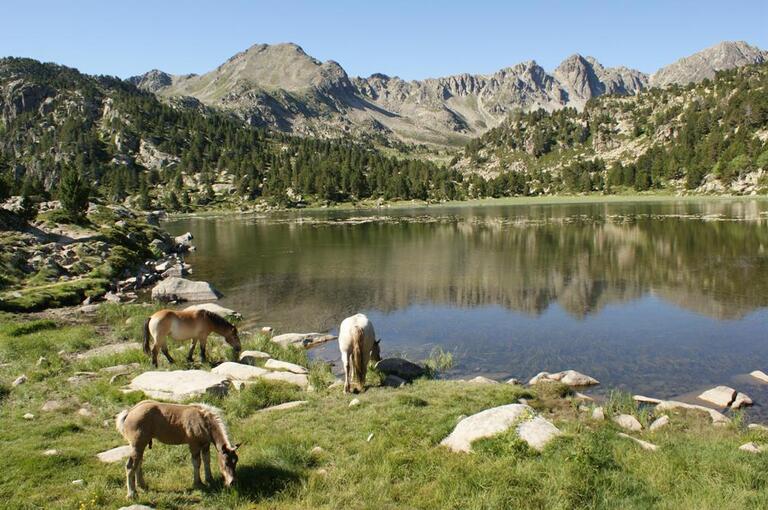 Sorteny Naturpark in Andorra Natur, See, Pferde, Sorteny, Andorra, Wanderreise