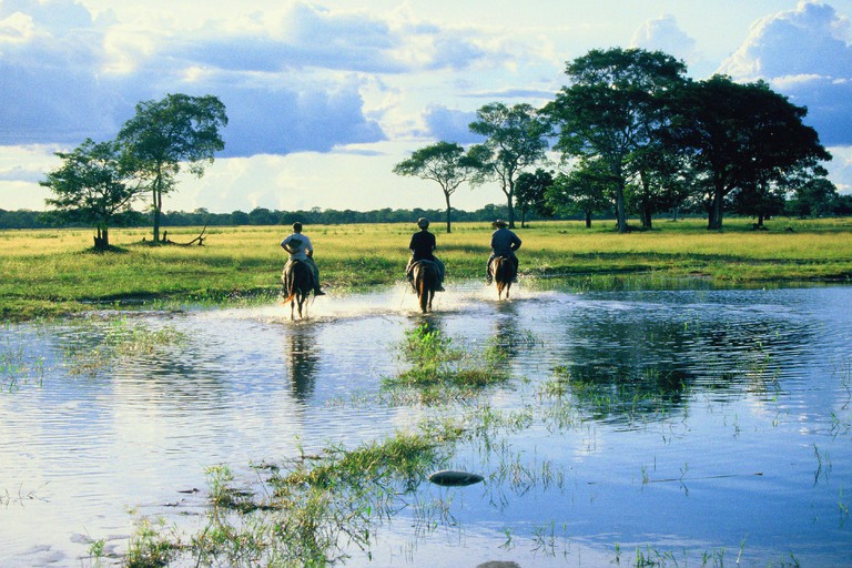 Das Pantanal Pantanal, Landschaft, Brasilien, Argentinien Urlaub mit Kindern