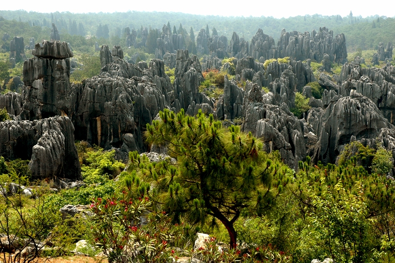 Shilin Wald, Shilin, Kunming, china mit kindern