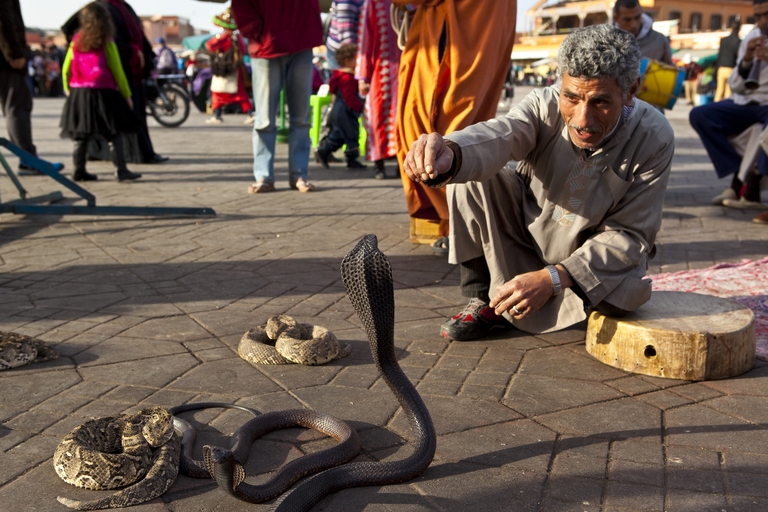Schlangenbeschwörer in Marrakesch schlangenbeschwörer, Marrakesch, Souks, Djoser, Erlebnisreisen