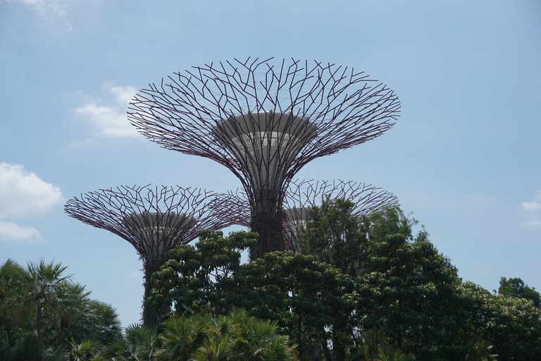 Bäume im Gardens by the Bay Gardens by the Bay, Bäume, Park, Singapur, Rundreise Singapur, reise singapur
